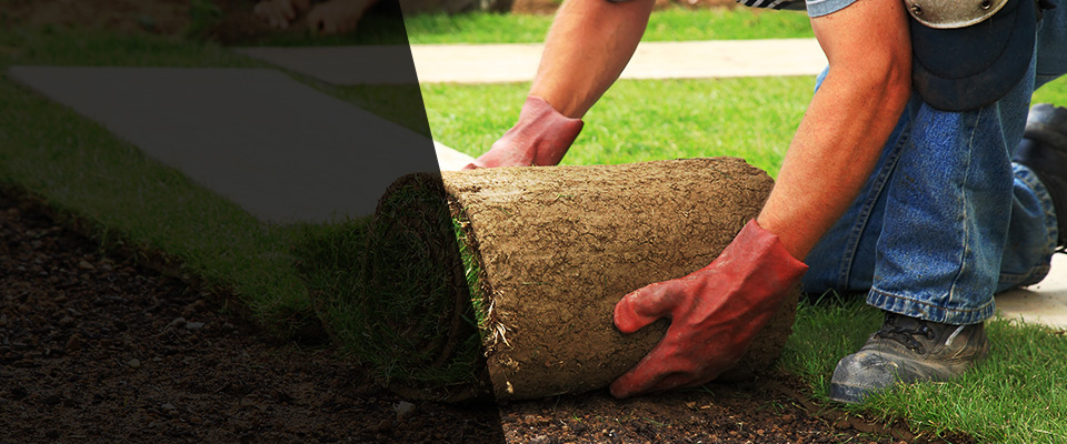 Wyandotte Landscapers